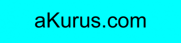 Domain Internet address - www.akurus.com