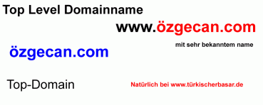 Domain Internet address - www.özgecan.com